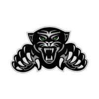 Igloo Jaguars Logo